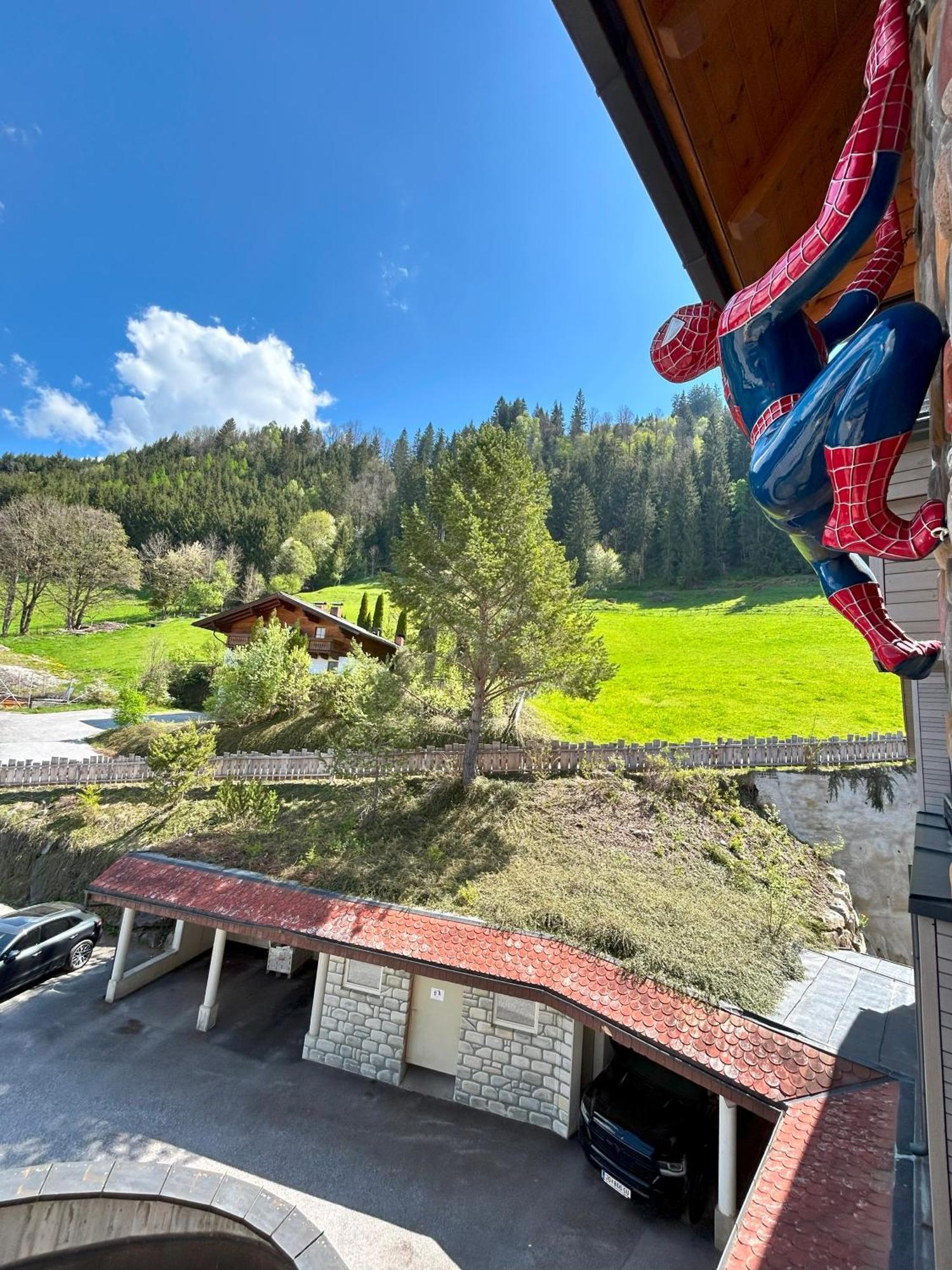 Weitenmoos Panorama Apart&Rooms St. Johann im Pongau Exterior foto